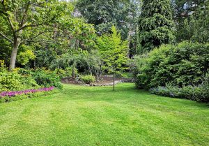 Optimiser l'expérience du jardin à Rimon-et-Savel